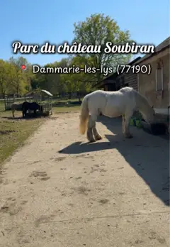Ferme pédagogique du château Soubiran – Dammarie-les-Lys