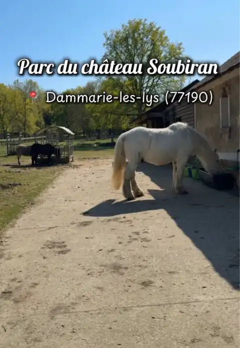 Ferme pédagogique du château Soubiran