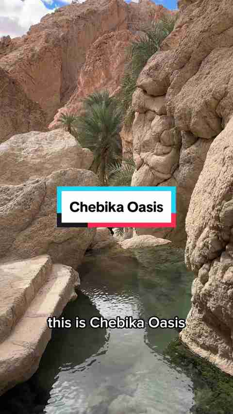 Oasis de montagne : Chebika, Tamerza, Midès